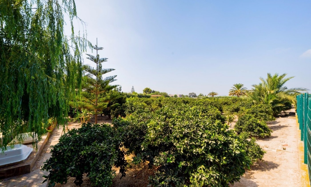 Herverkoop - Finca - Almoradi - Camino De Catral