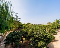 Herverkoop - Finca - Almoradi - Camino De Catral