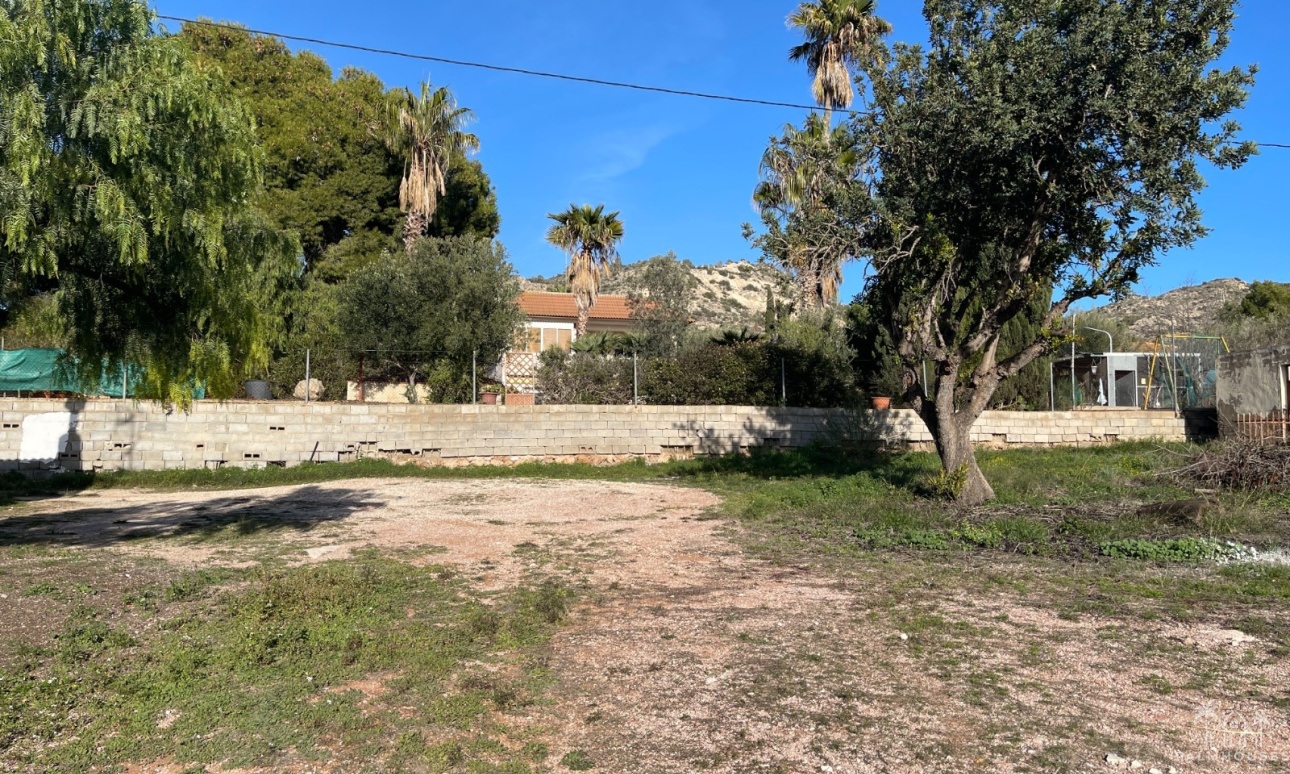 Herverkoop - Finca - Aspe