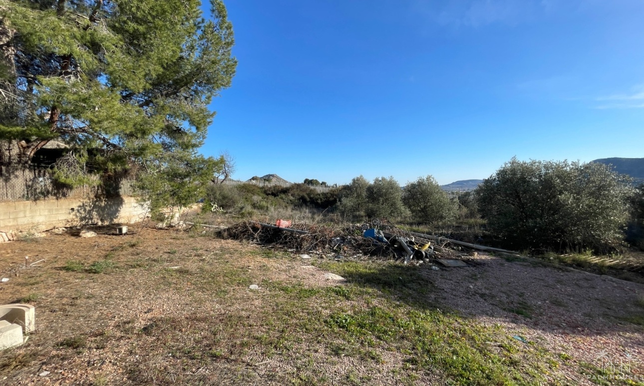Herverkoop - Finca - Aspe