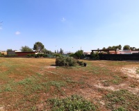 Herverkoop - Finca - Benferri - Benferri - Country