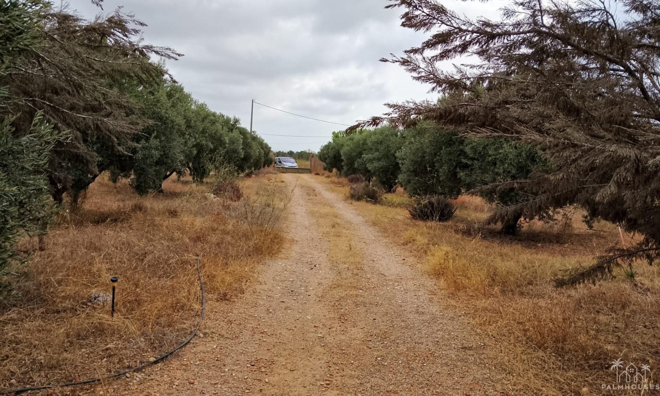 Herverkoop - Finca - Cartagena - La Magdalena