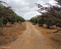 Herverkoop - Finca - Cartagena - La Magdalena