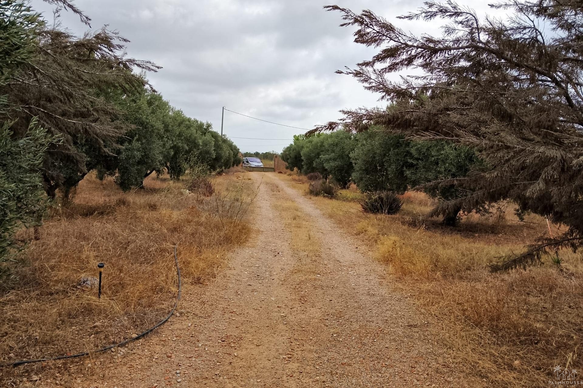 Herverkoop - Finca - Cartagena - La Magdalena