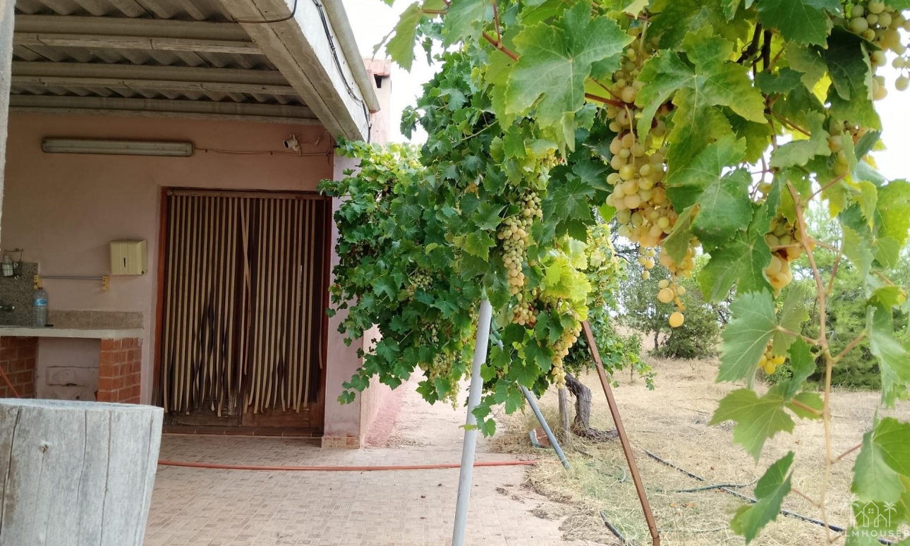 Herverkoop - Finca - Cartagena - La Magdalena