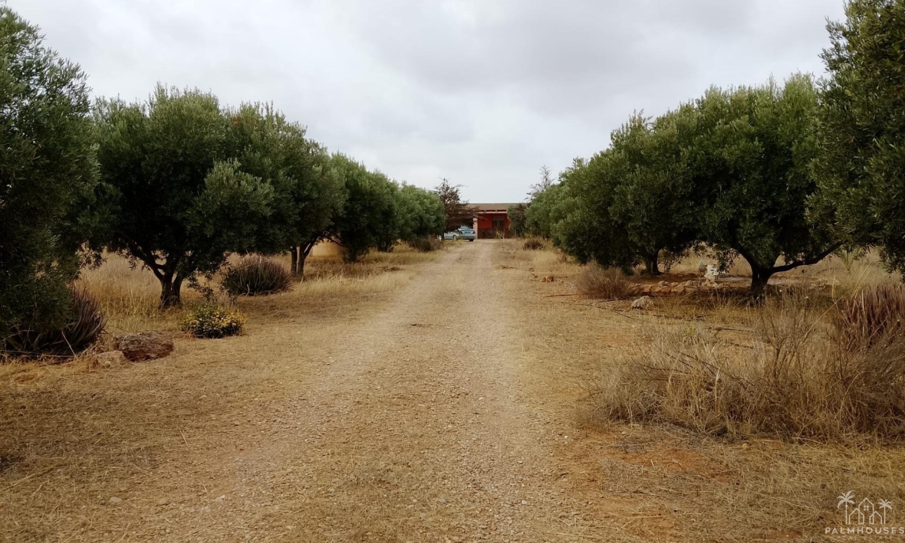 Herverkoop - Finca - Cartagena - La Magdalena