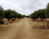 Herverkoop - Finca - Cartagena - La Magdalena