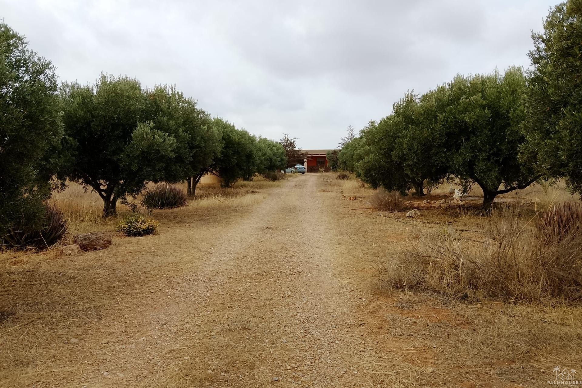 Herverkoop - Finca - Cartagena - La Magdalena