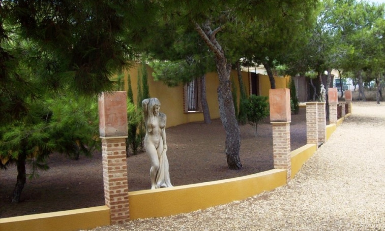 Herverkoop - Finca - Ciudad Quesada - Lo Pepin
