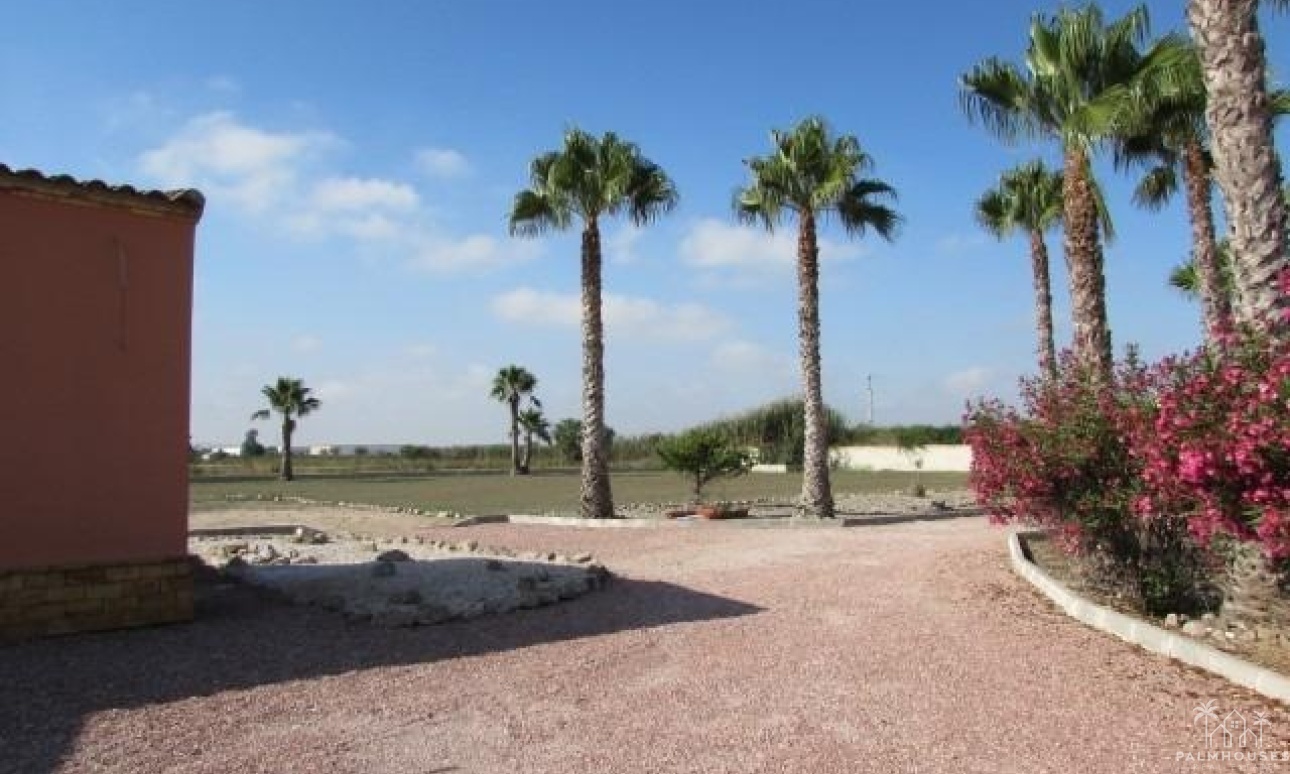 Herverkoop - Finca - Dolores - Comunidad Valenciana