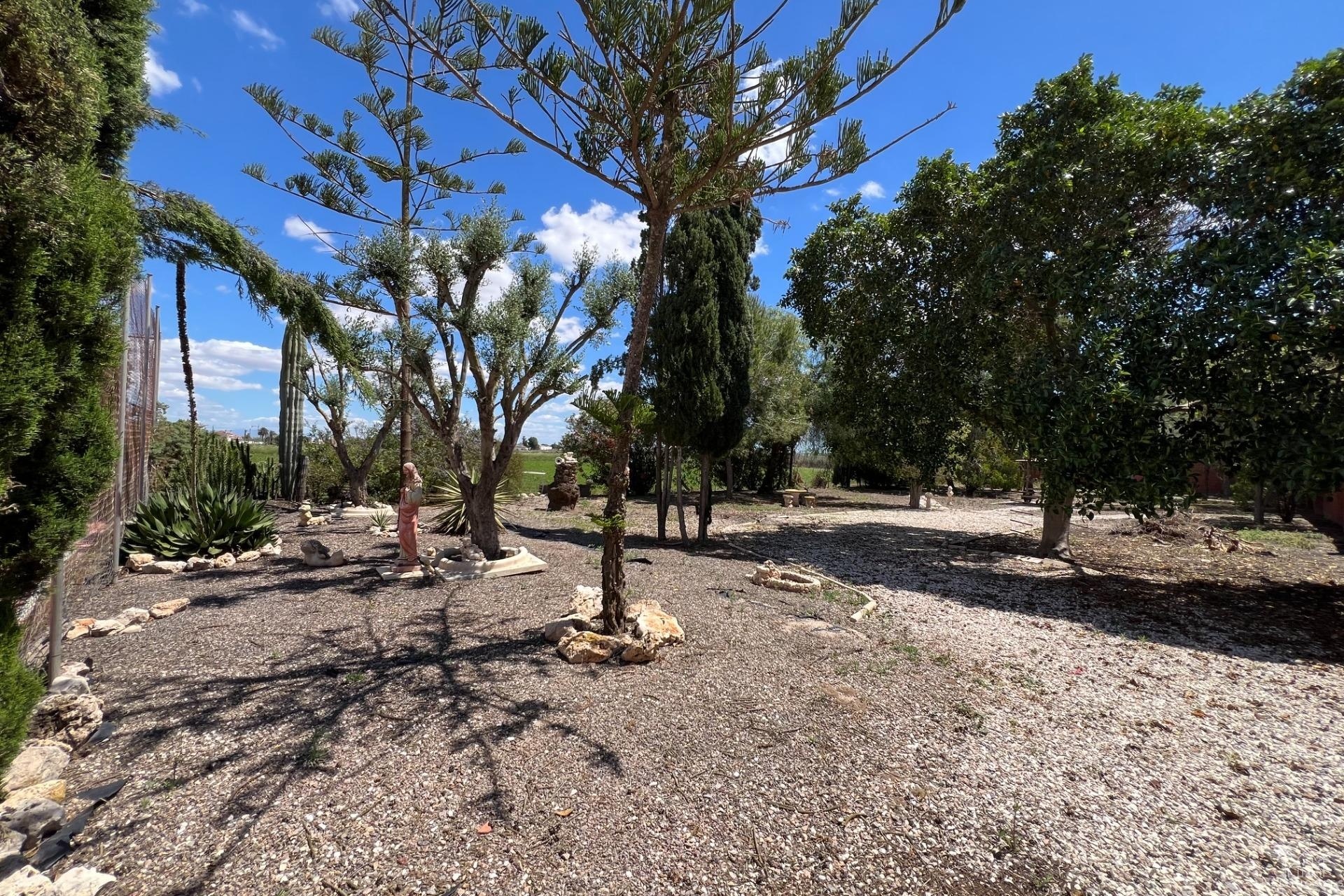 Herverkoop - Finca - Dolores - Comunidad Valenciana