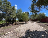 Herverkoop - Finca - Dolores - Comunidad Valenciana