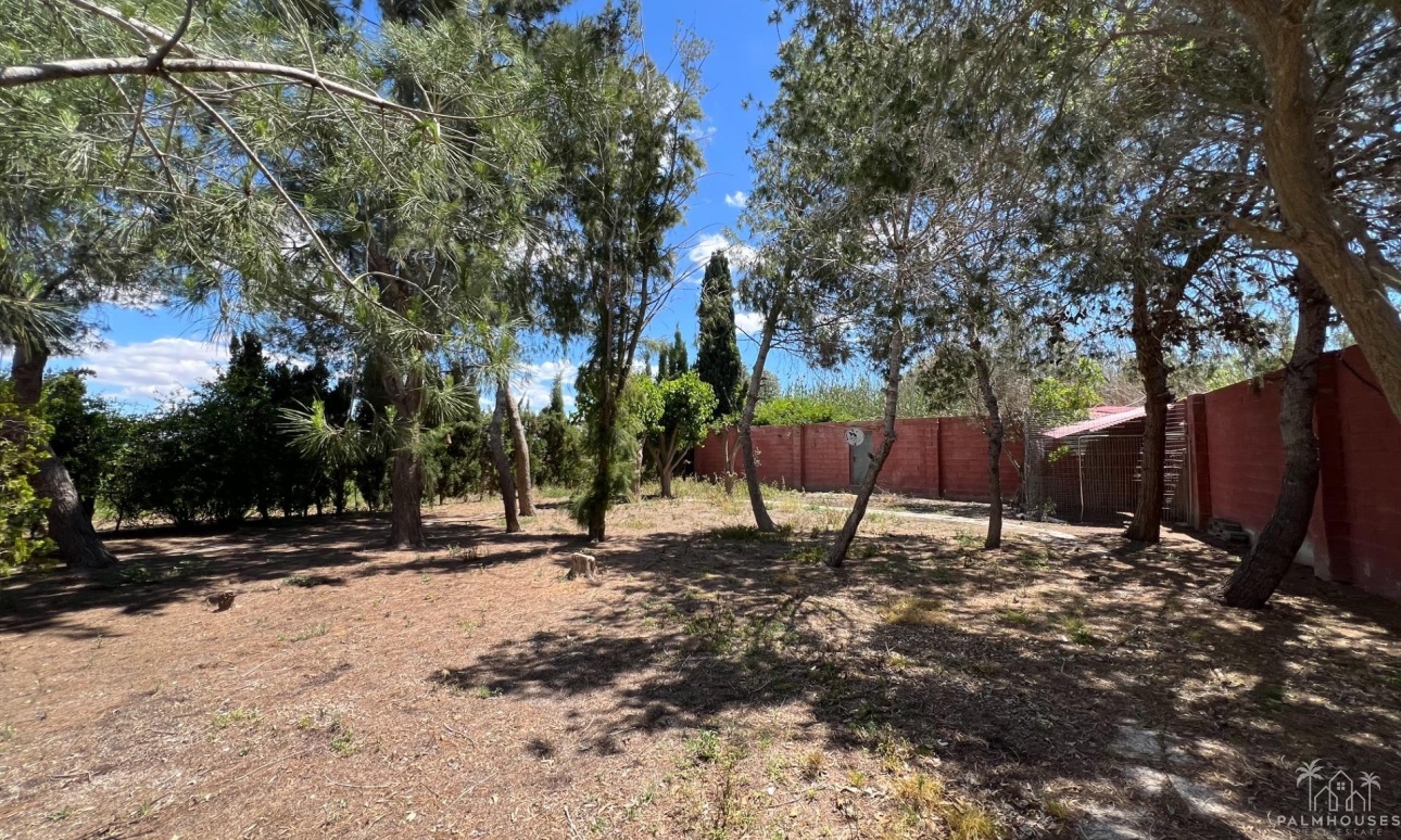 Herverkoop - Finca - Dolores - Comunidad Valenciana
