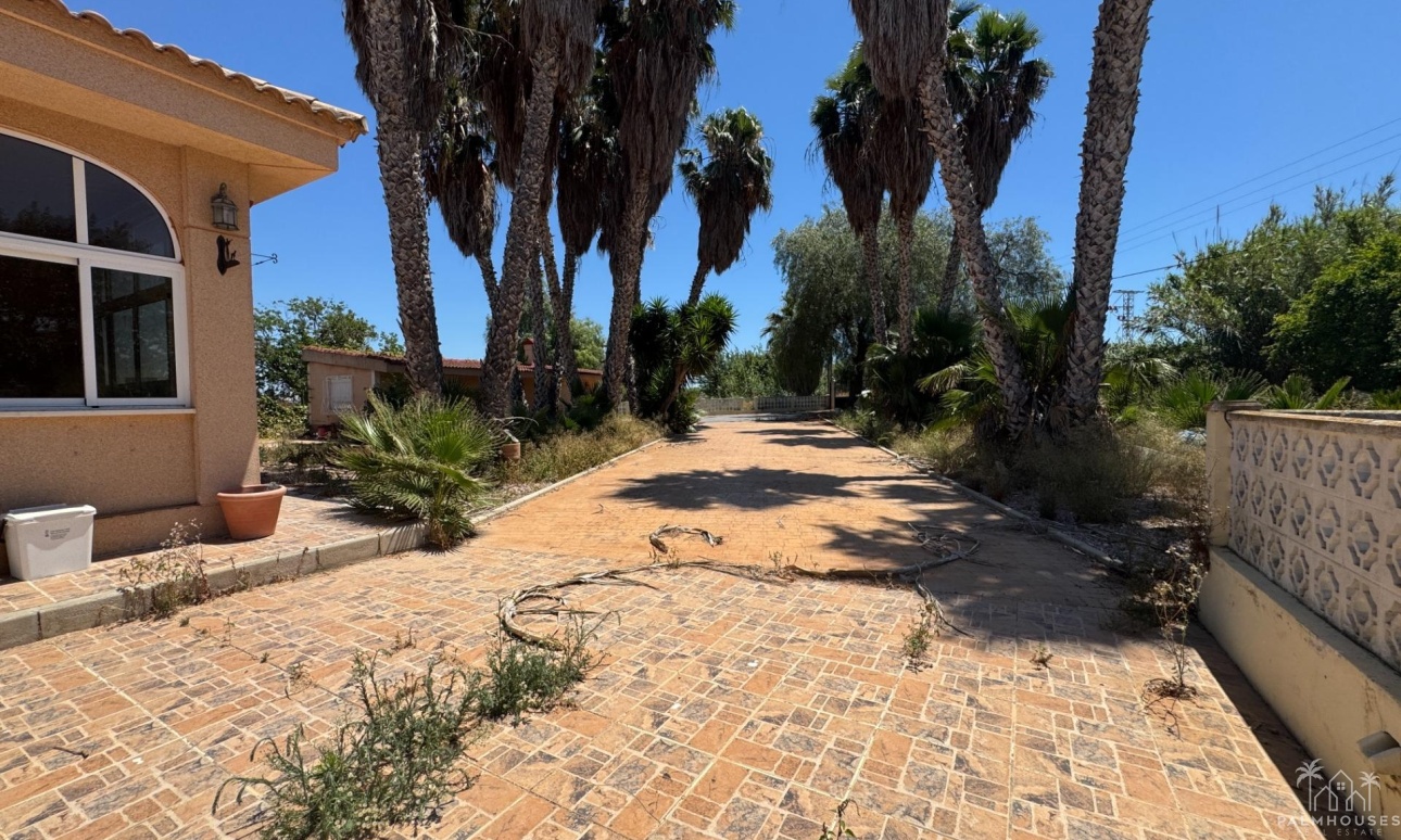 Herverkoop - Finca - Dolores - Comunidad Valenciana