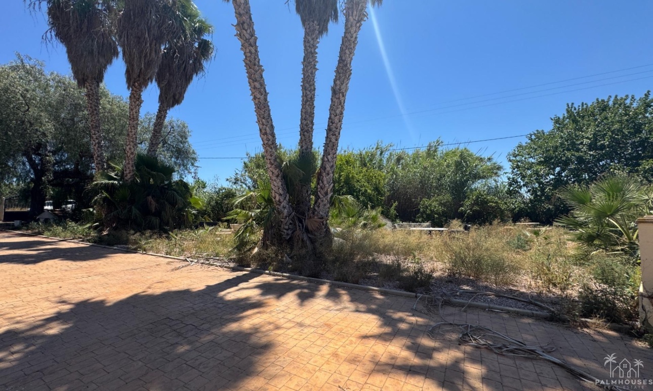 Herverkoop - Finca - Dolores - Comunidad Valenciana