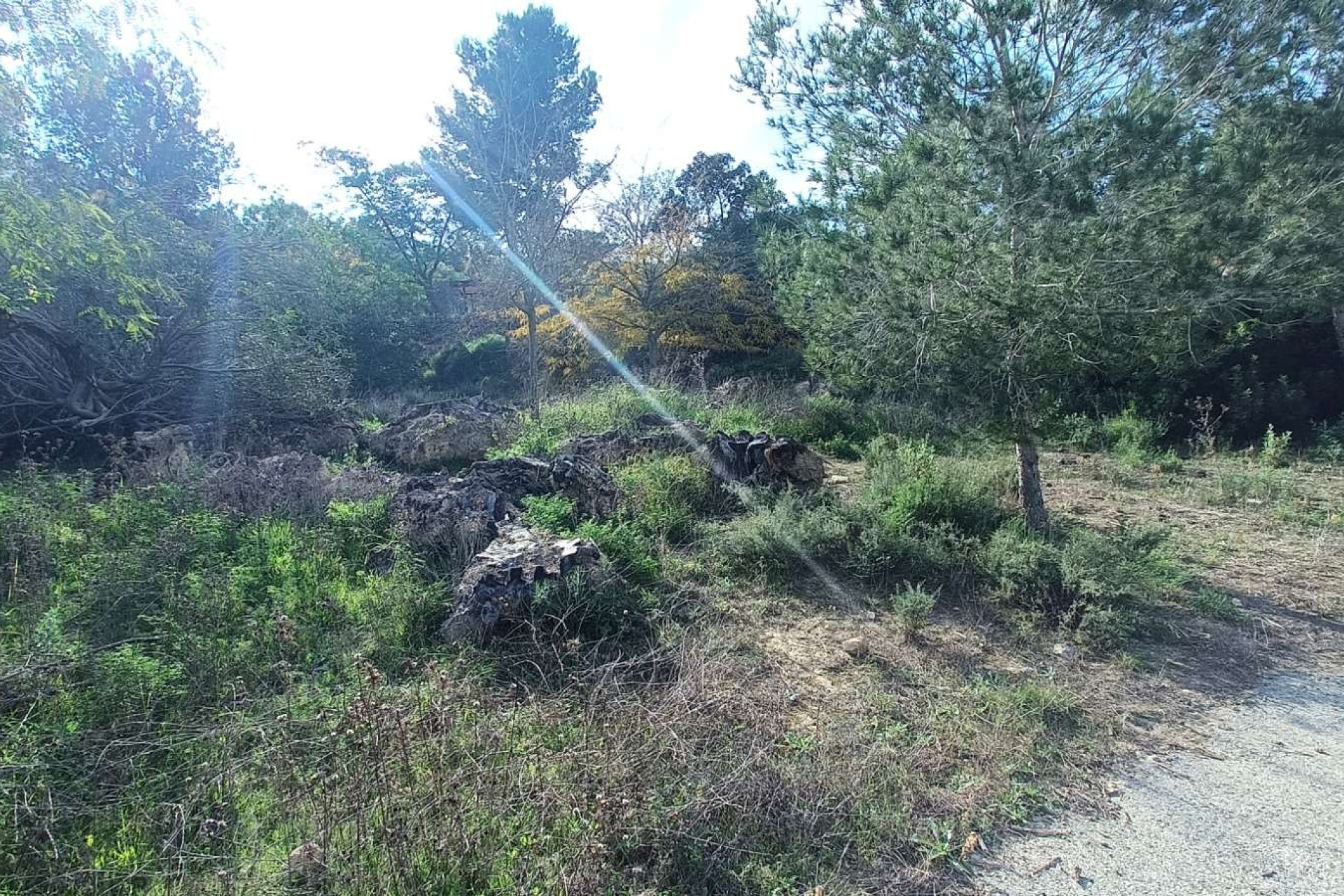Herverkoop - Finca - Gea Y Truyols - Inland