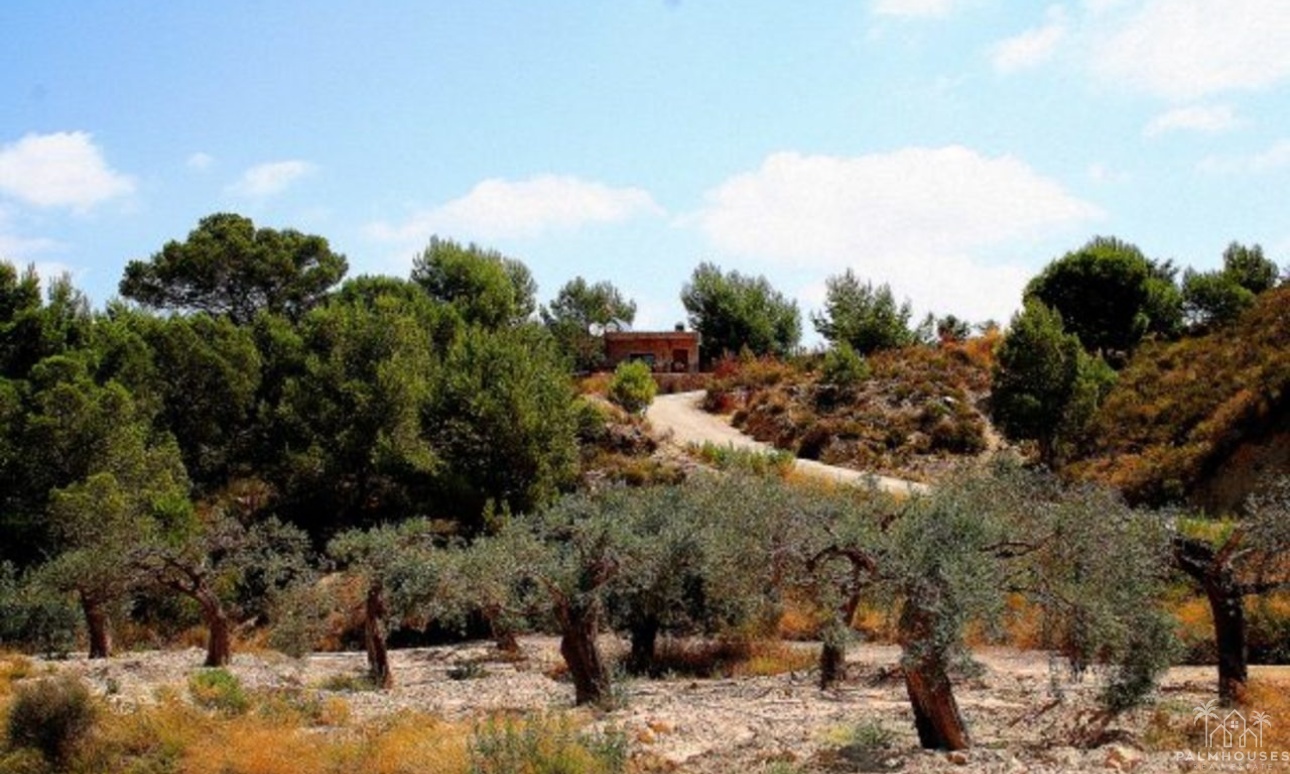 Herverkoop - Finca - Gea Y Truyols - Inland