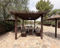 Herverkoop - Finca - Gea Y Truyols - Sierra de Columbares Natural Park