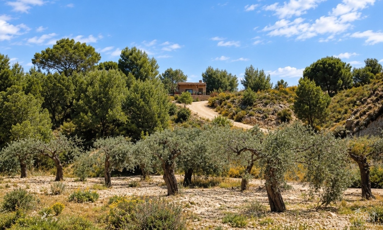Herverkoop - Finca - Gea Y Truyols - Sierra de Columbares Natural Park