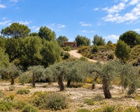 Herverkoop - Finca - Gea Y Truyols - Sierra de Columbares Natural Park