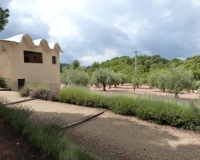 Herverkoop - Finca - Ibi - Ibi - Country