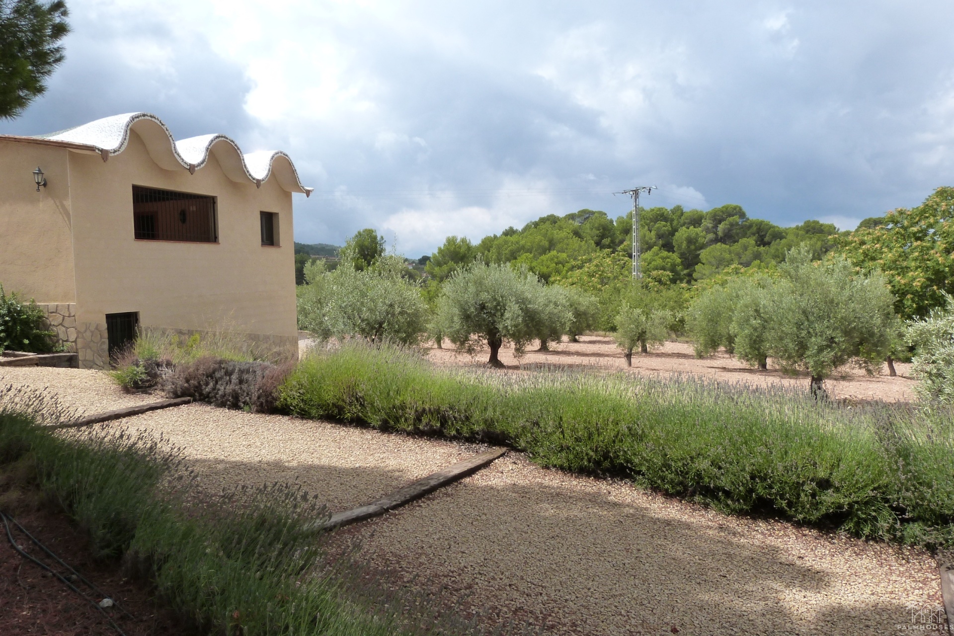 Herverkoop - Finca - Ibi - Ibi - Country