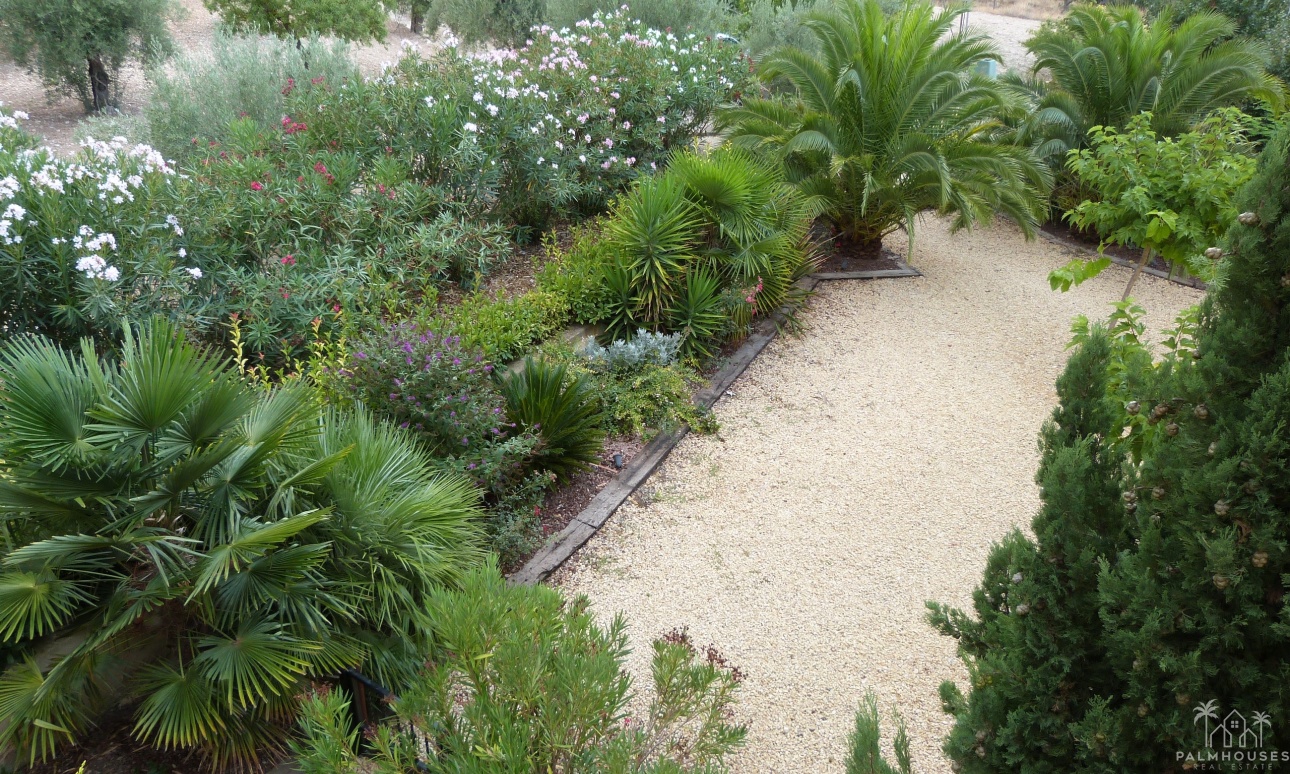 Herverkoop - Finca - Ibi - Ibi - Country