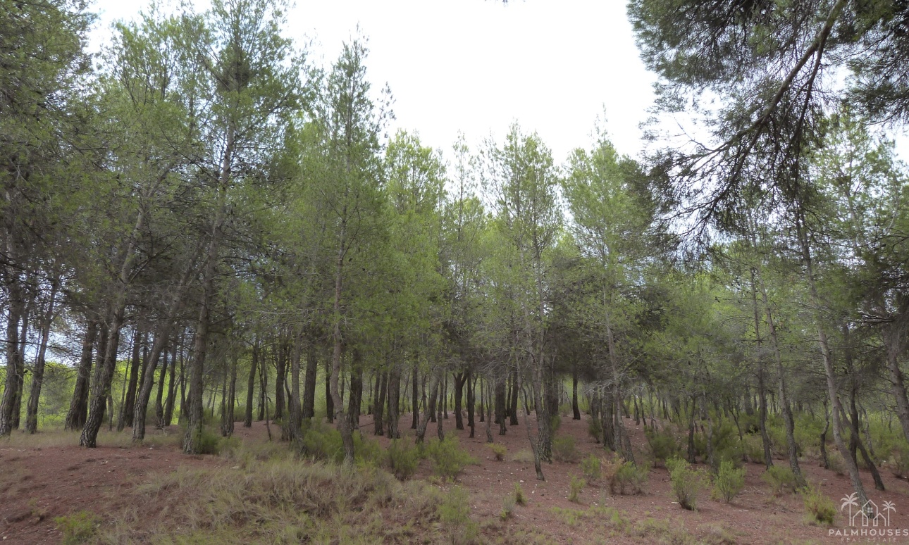 Herverkoop - Finca - Ibi - Ibi - Country