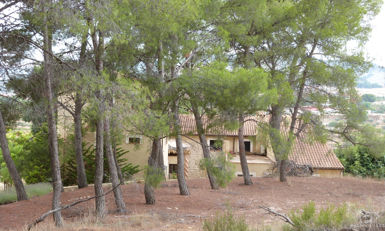 Herverkoop - Finca - Ibi - Ibi - Country