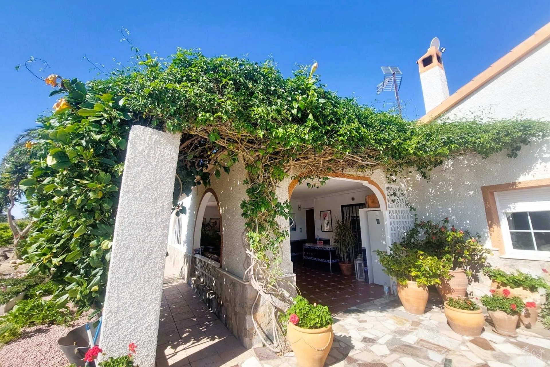 Herverkoop - Finca - La Marina - Costa Blanca
