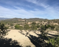 Herverkoop - Finca - Lorca - Costa Calida