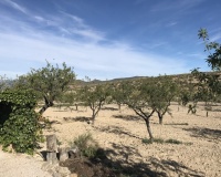 Herverkoop - Finca - Lorca - Costa Calida