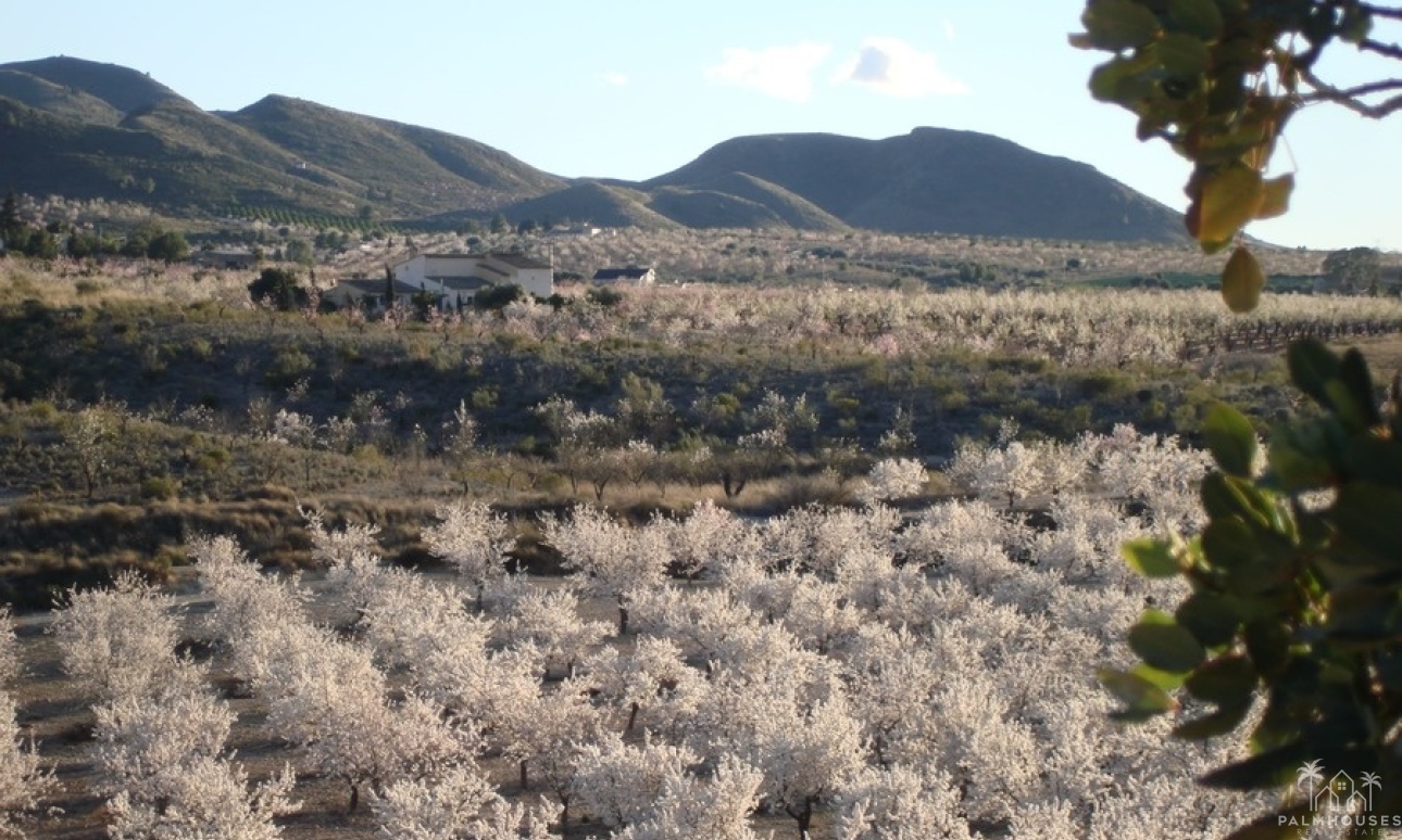 Herverkoop - Finca - Lorca - Costa Calida