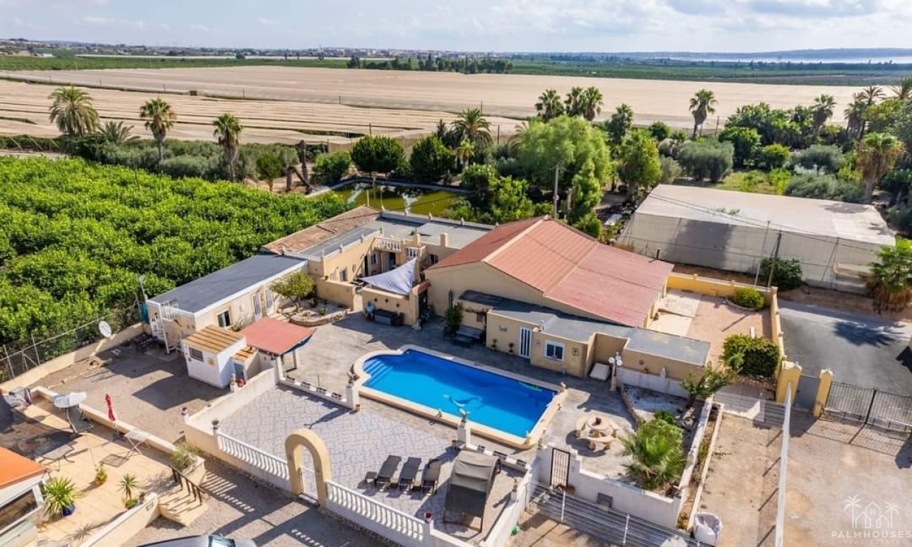 Herverkoop - Finca - Los Montesinos - Costa Blanca
