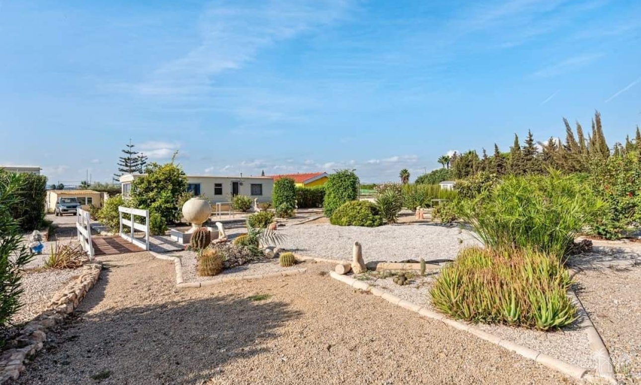 Herverkoop - Finca - Los Montesinos - Costa Blanca