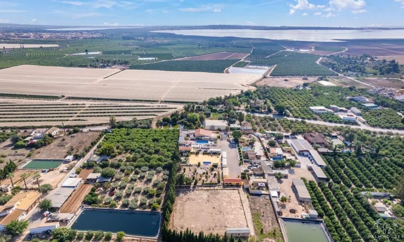 Herverkoop - Finca - Los Montesinos - Costa Blanca