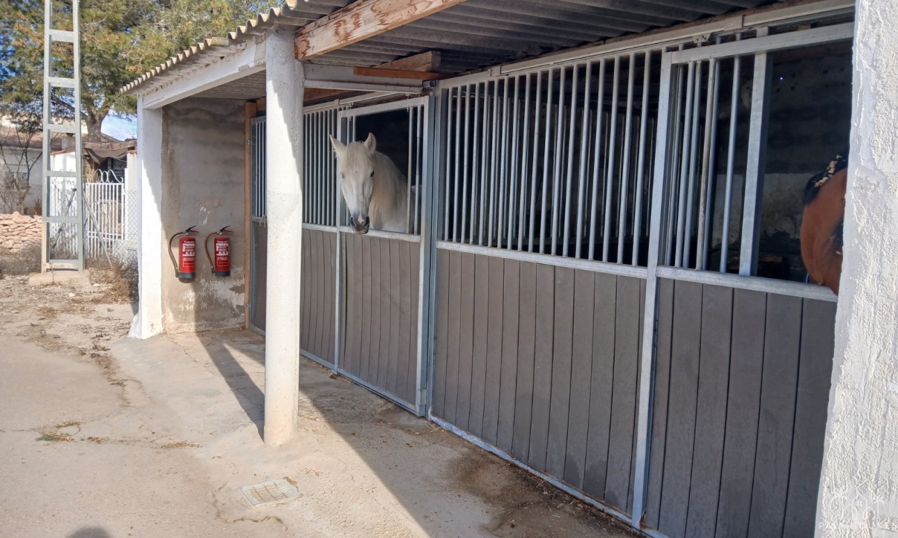 Herverkoop - Finca - Monóvar/Monóver - Inland
