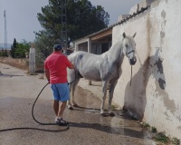 Herverkoop - Finca - Monóvar/Monóver - Inland
