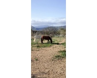 Herverkoop - Finca - Monóvar/Monóver - Inland