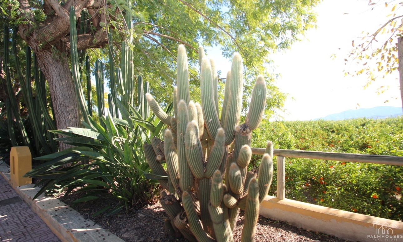 Herverkoop - Finca - Murcia - Inland
