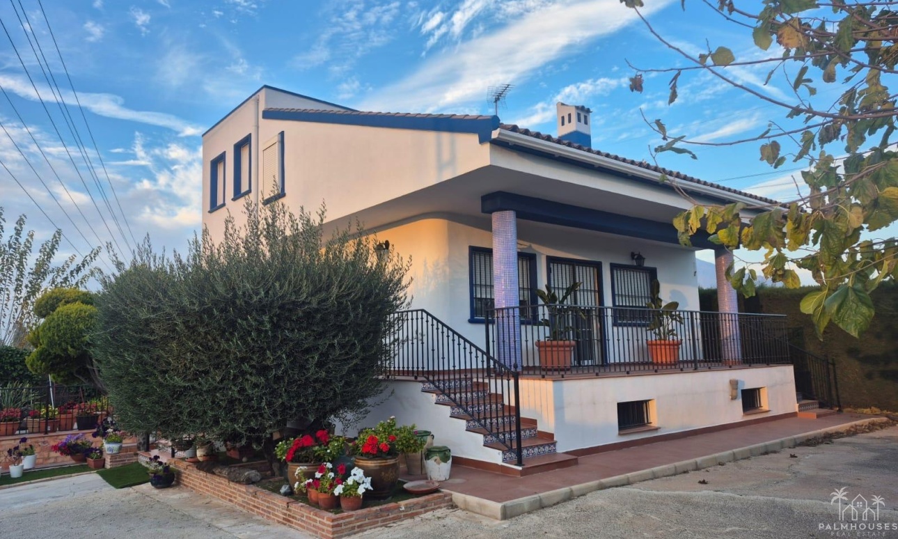Herverkoop - Finca - Orihuela - Casco Histórico