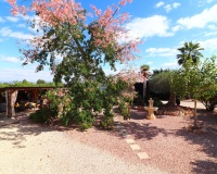 Herverkoop - Finca - Orihuela - La Campaneta