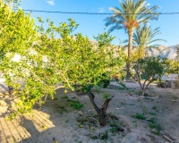 Herverkoop - Finca - Orihuela - Raiguero De Bonanza
