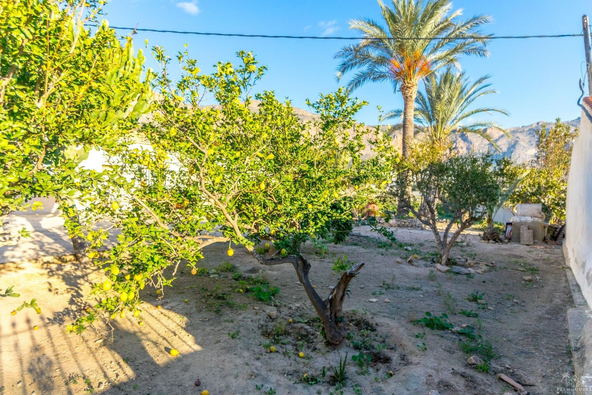 Herverkoop - Finca - Orihuela - Raiguero De Bonanza