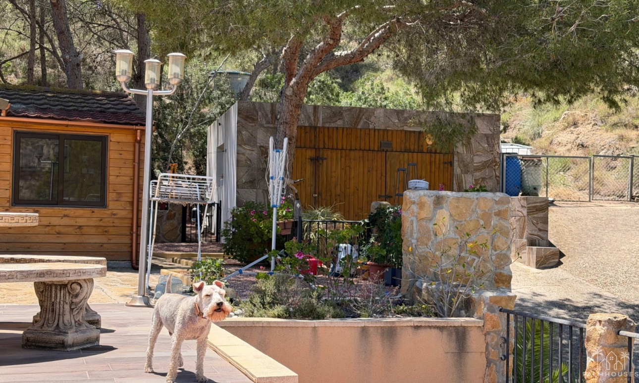 Herverkoop - Finca - Orihuela - Torremendo