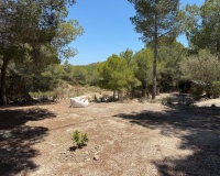 Herverkoop - Finca - Orihuela - Torremendo