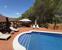 Herverkoop - Finca - Orihuela - Torremendo