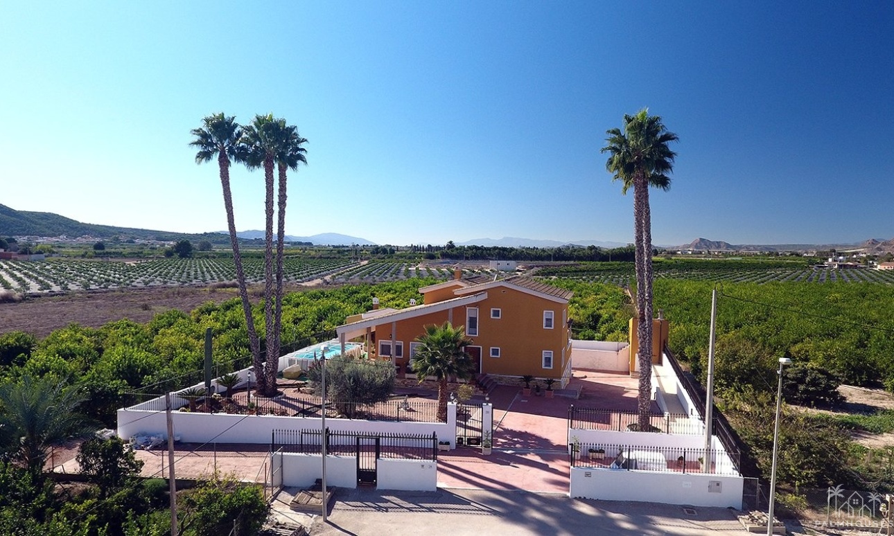 Herverkoop - Finca - Orihuela