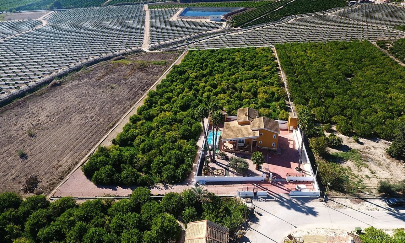 Herverkoop - Finca - Orihuela