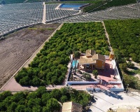 Herverkoop - Finca - Orihuela